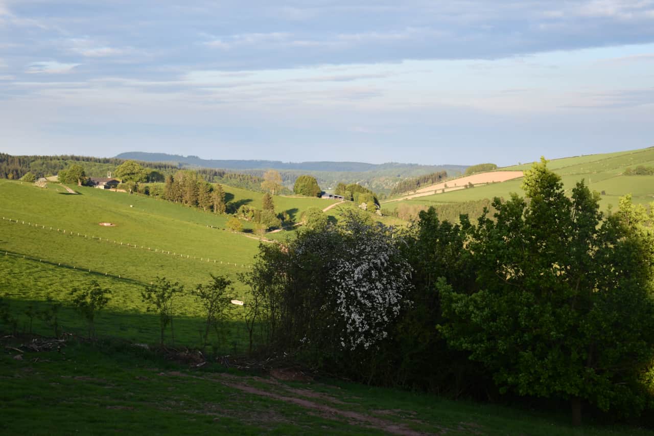Relax - Decking view