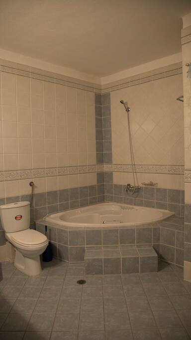 Luxury City Center Apartment