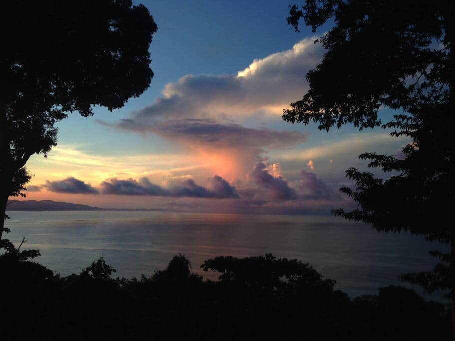 VIew VIew