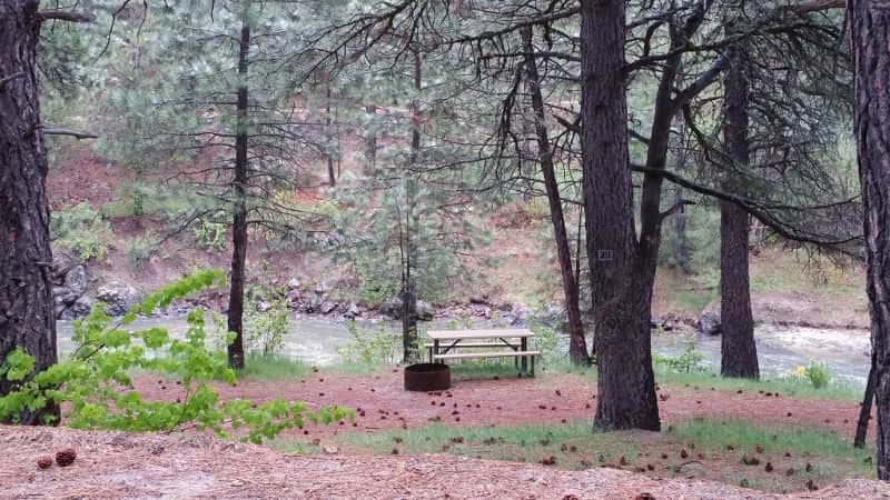Campsite 39