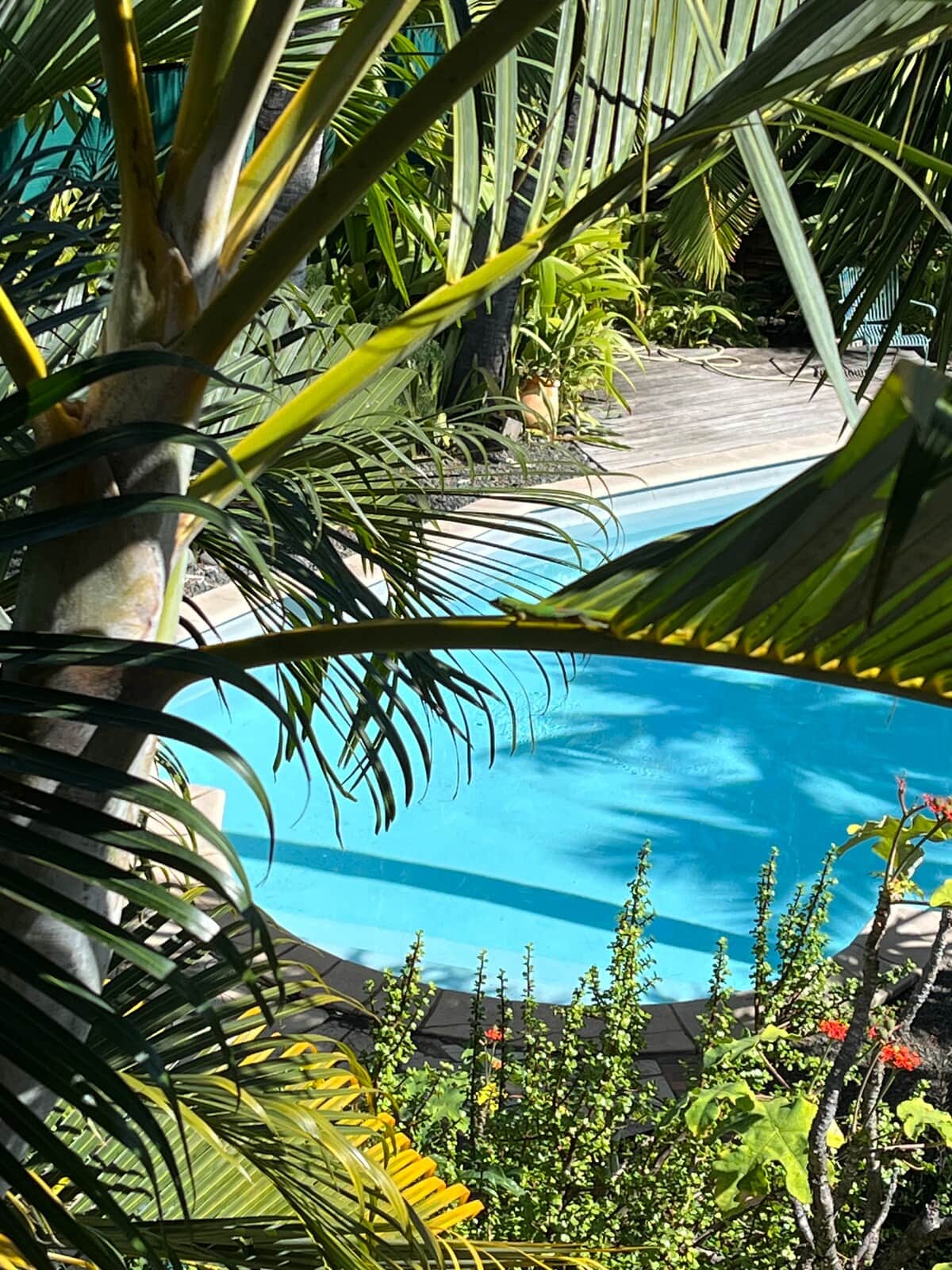 Villa Kaz’Alizés Saint-Leu piscine/varangue