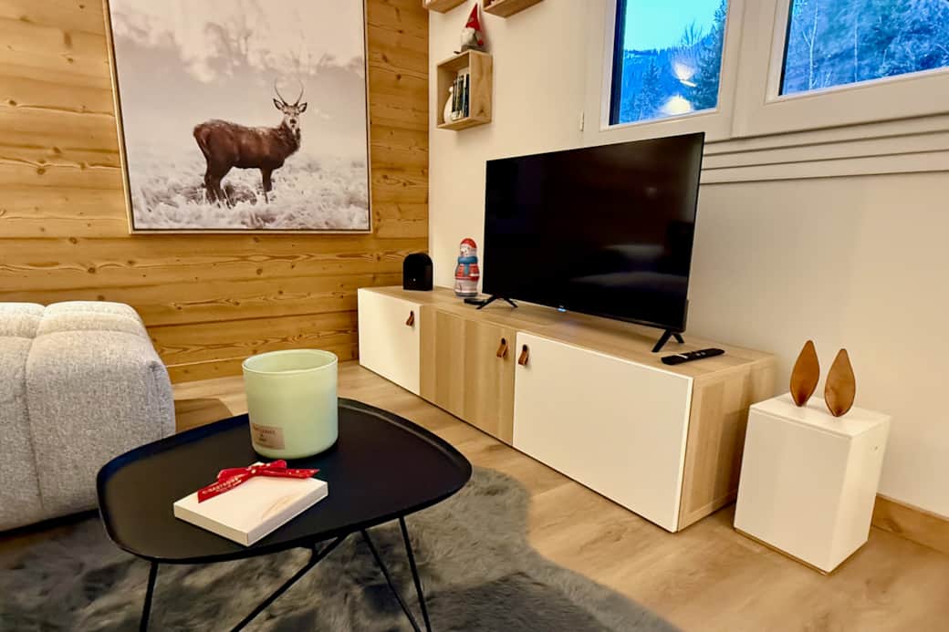 Salon | Living room 3