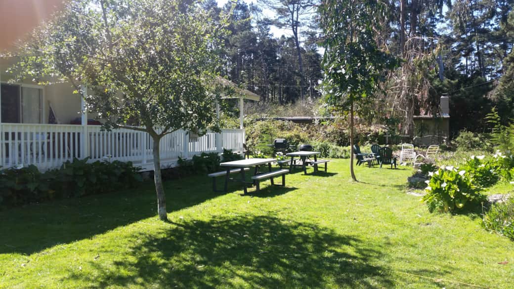 Scc backyard