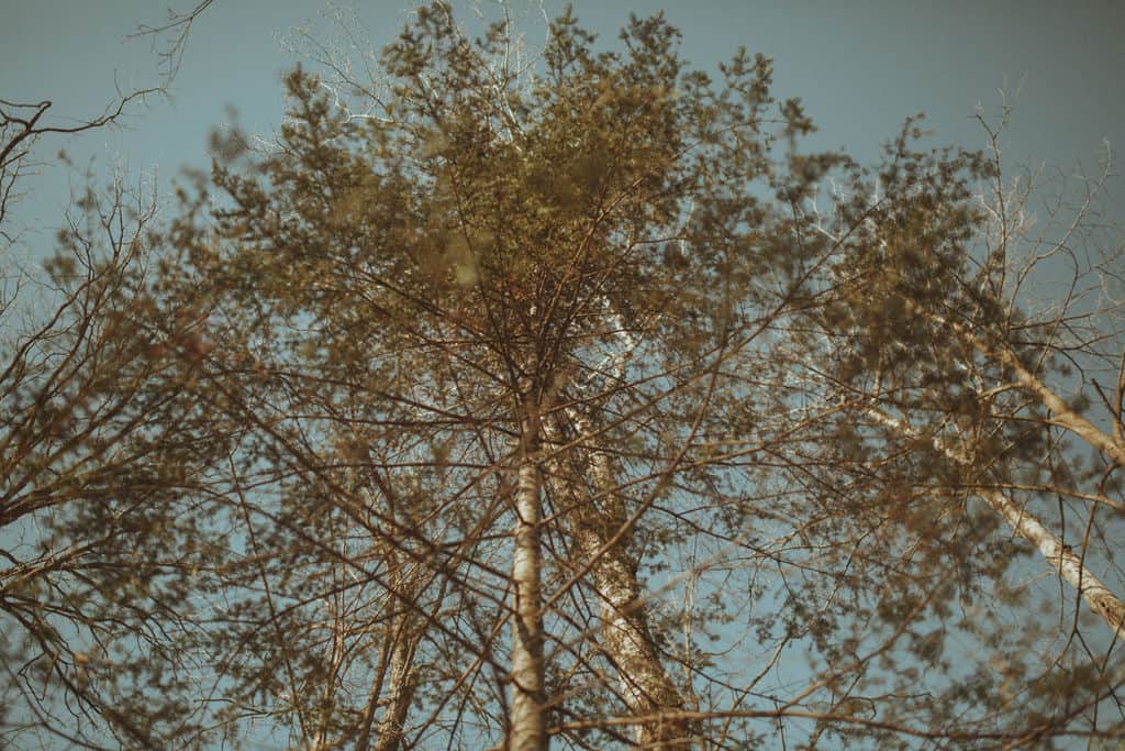 Surrounded by nature