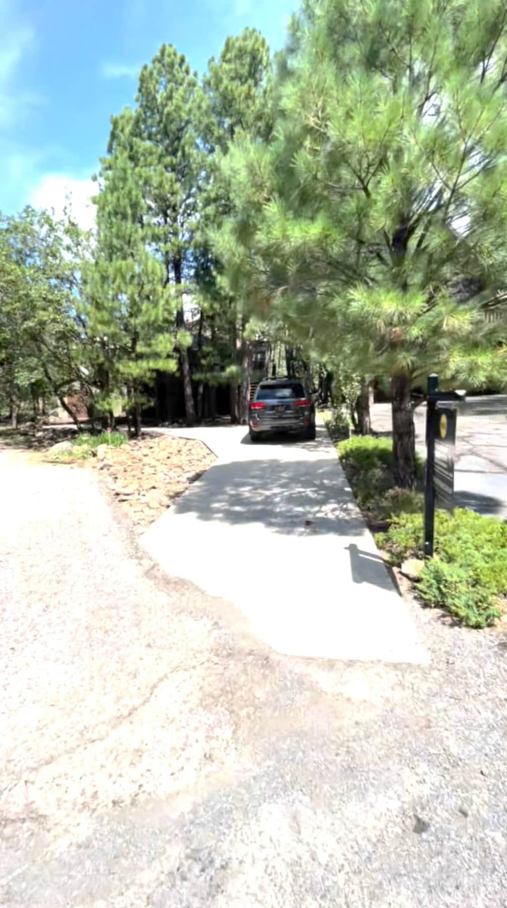 Private driveway and pathway to secluded forest cabin