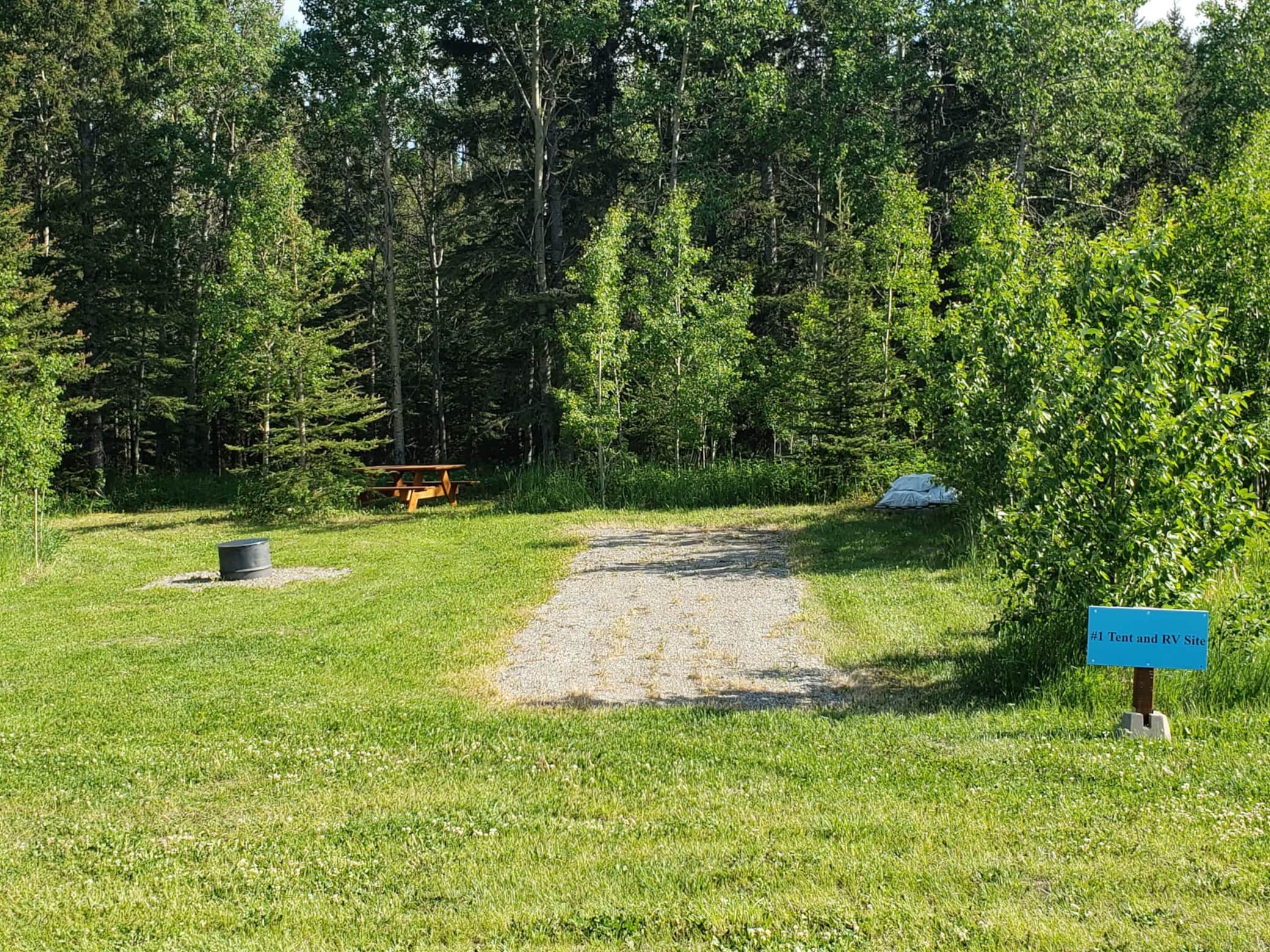 site#1 (1).jpg
