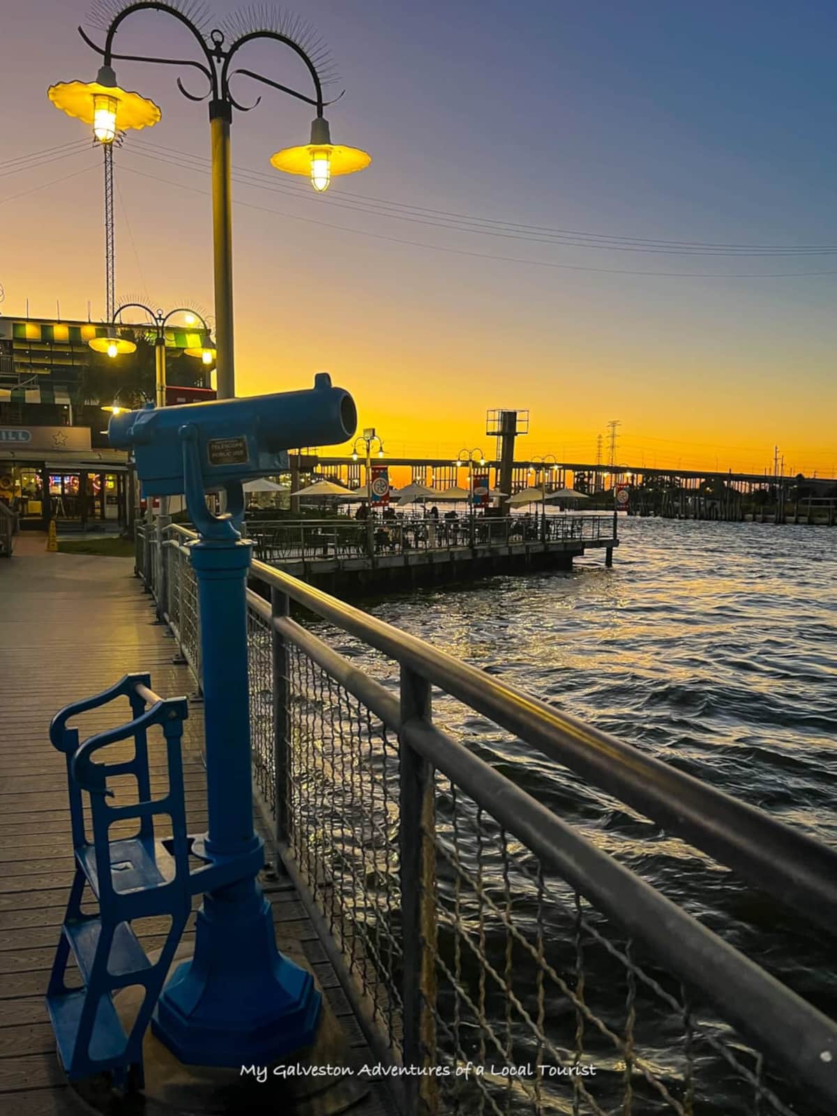 Seagull watching a cruise ship depart from Galveston on a calm winter morning