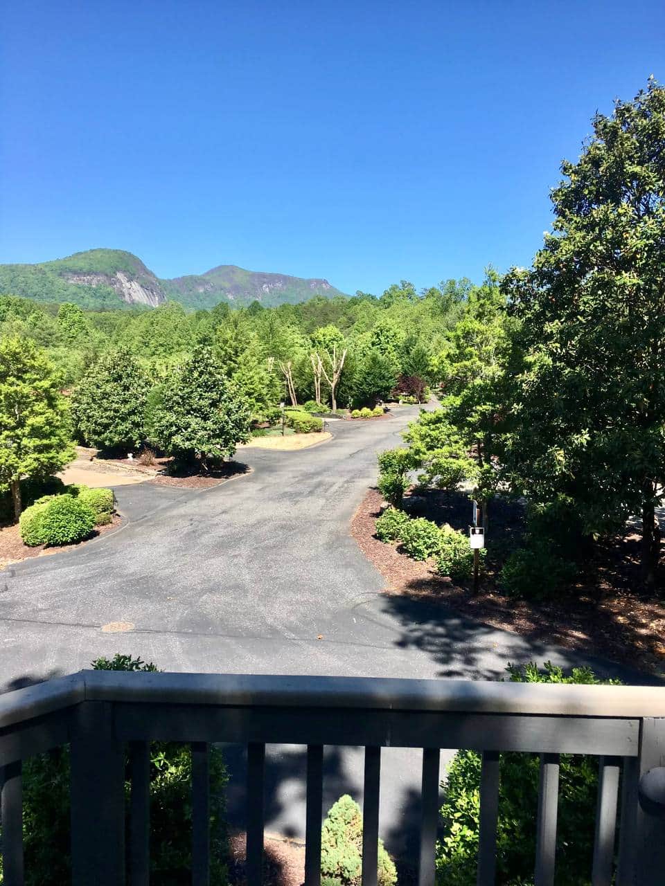 Mountain view from scenic deck
