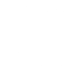 Modern Viking