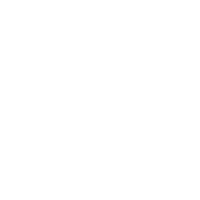 Modern Viking