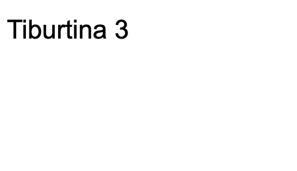 T33