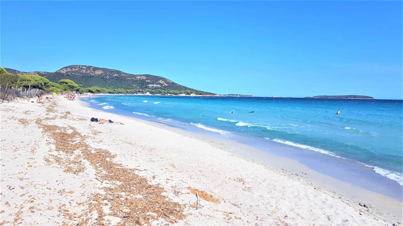 Plage de Palombaggia à 800m de la location.