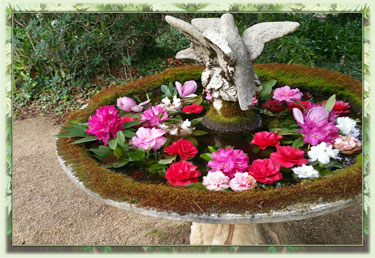 Birdbath