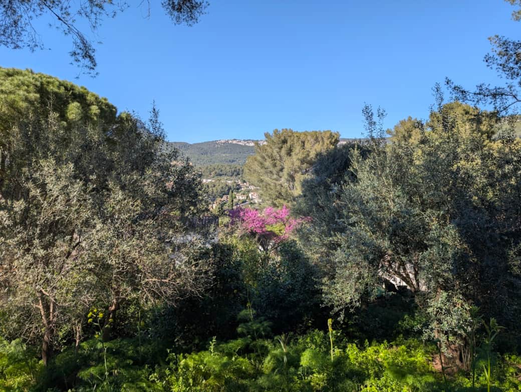 La vue sur le Baou