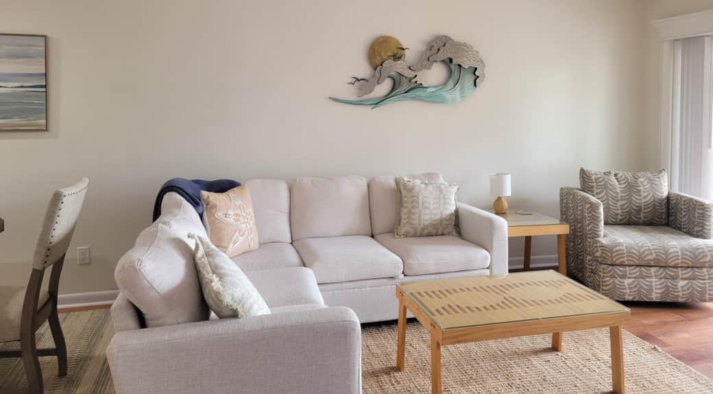 Pull out sleeper sofa