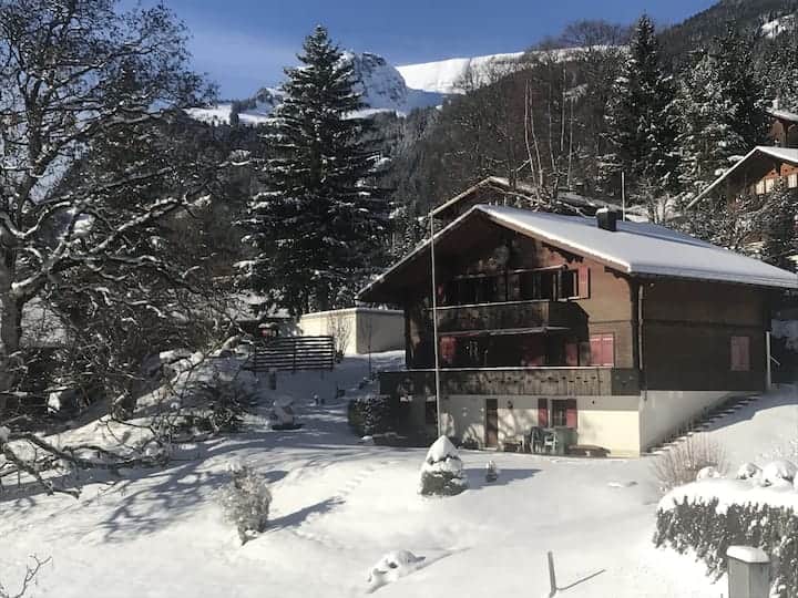 Apartment Bussalp