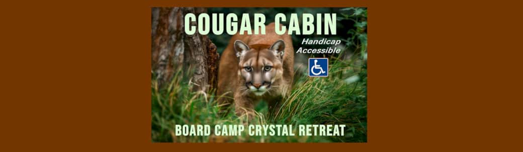 Cougar cabin 1