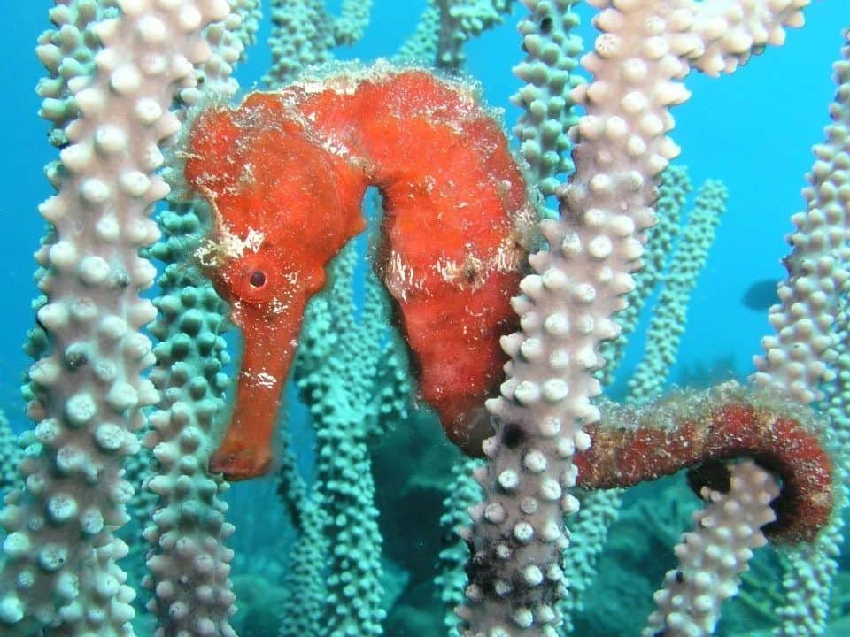 https://l.icdbcdn.com/oh/ce869699-bf6f-4fe4-9d50-82dc5ef8d538.jpg?w=2080-2