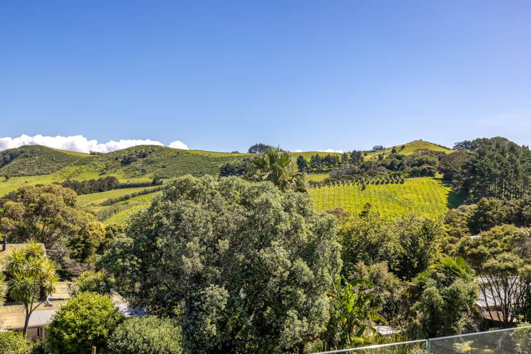 The Vine Valley view The Vine Valley view