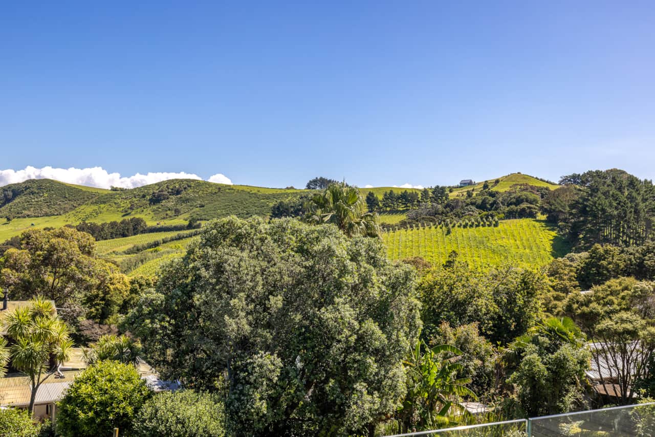 The Vine Valley view
