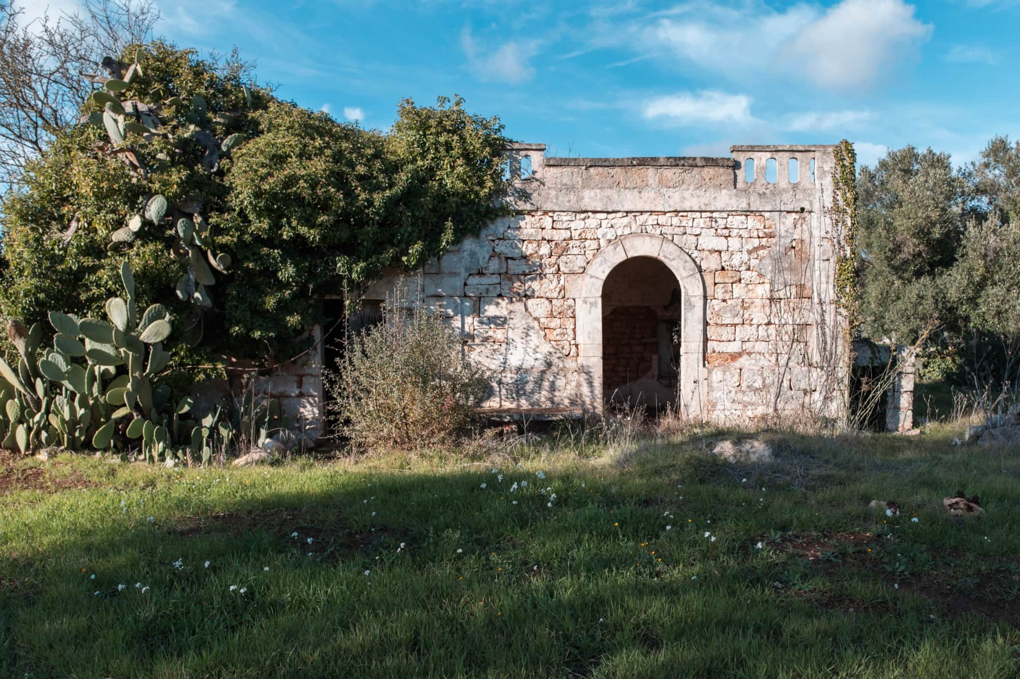Farmhouse to Renovate - Valle d'Itria
