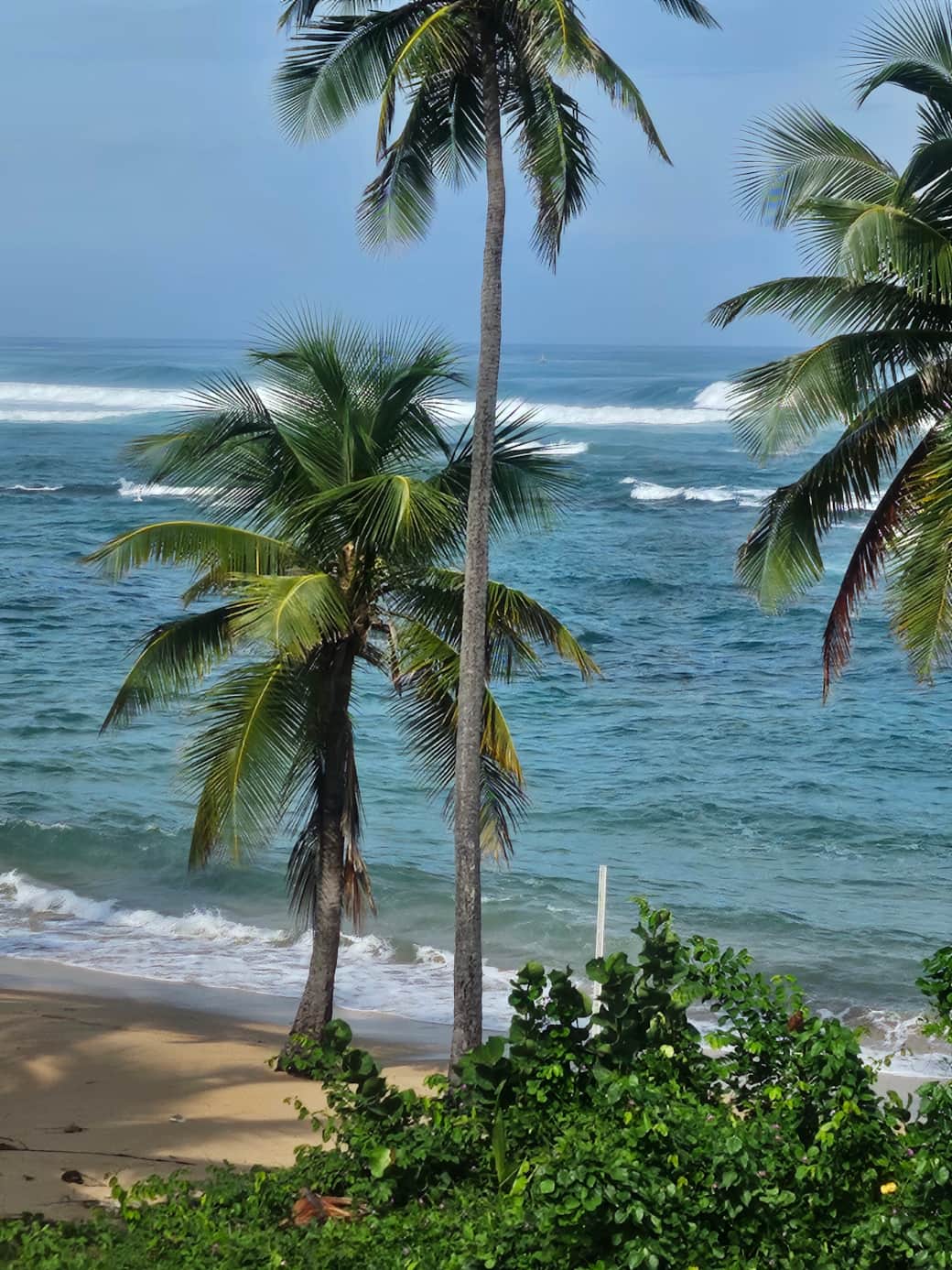 Carribean Sea 