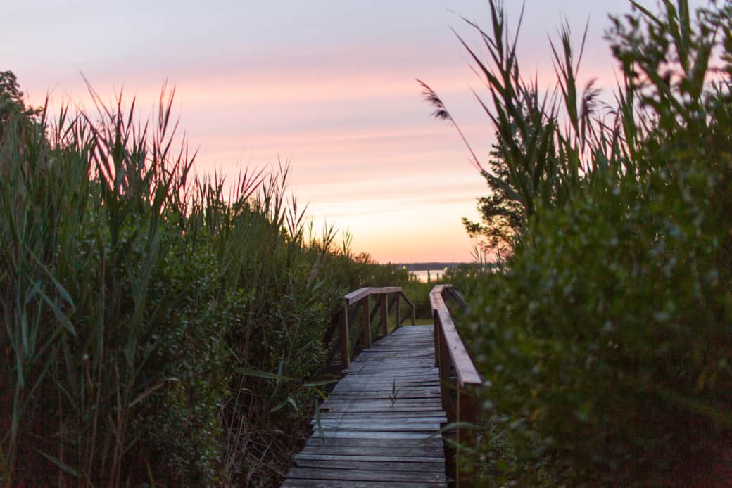 Foot path to the private beach