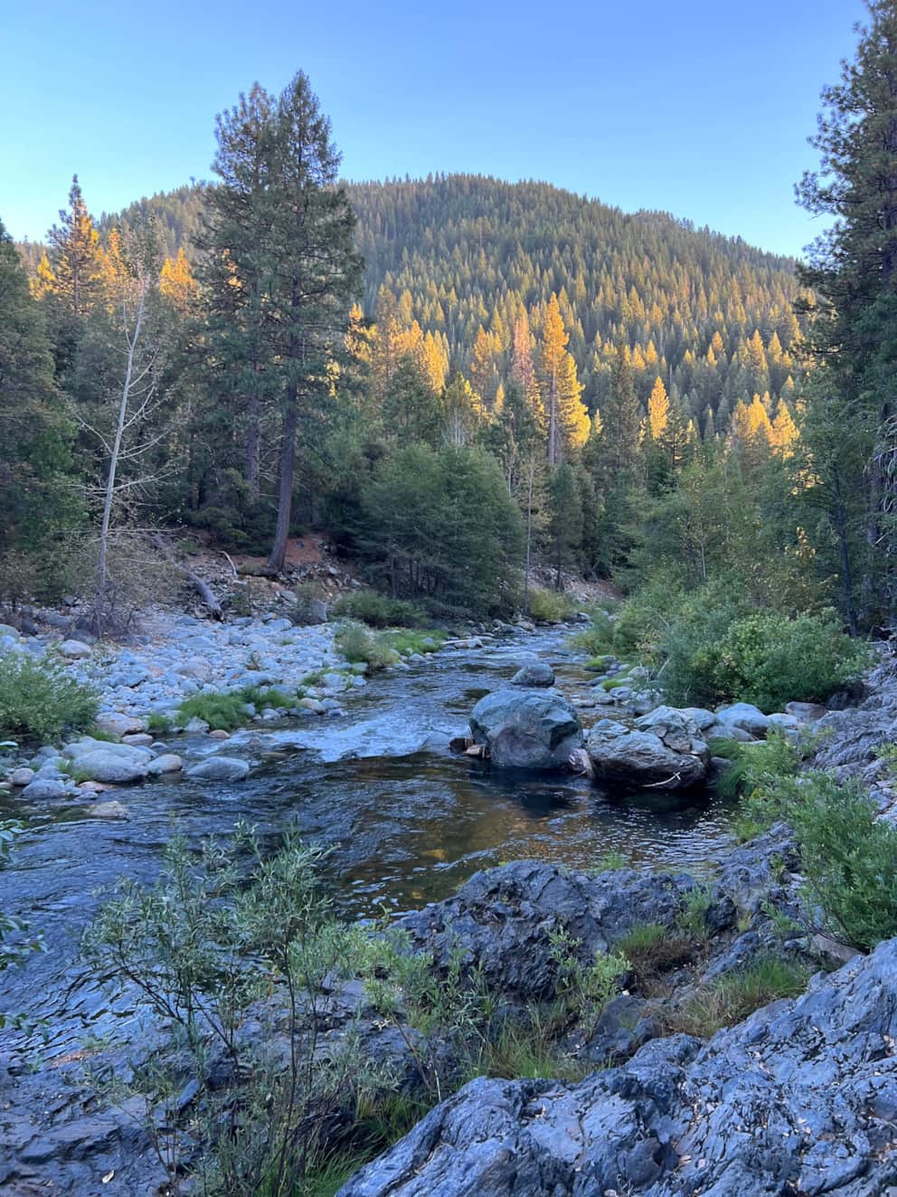 Yuba River Inn The Resort