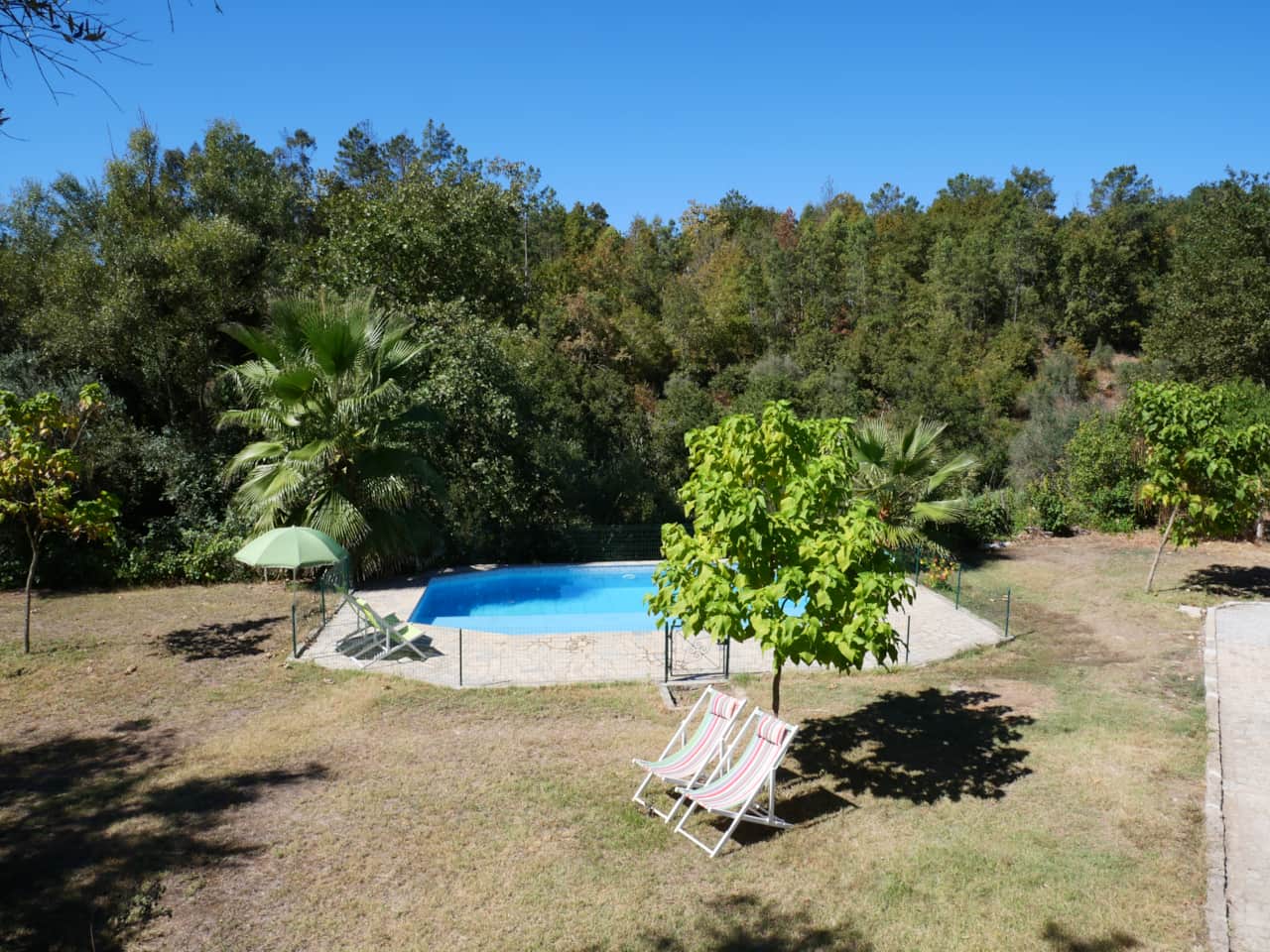 Swimming pool with lawn