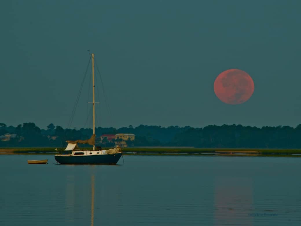 Blood moon by Katrina Baxter