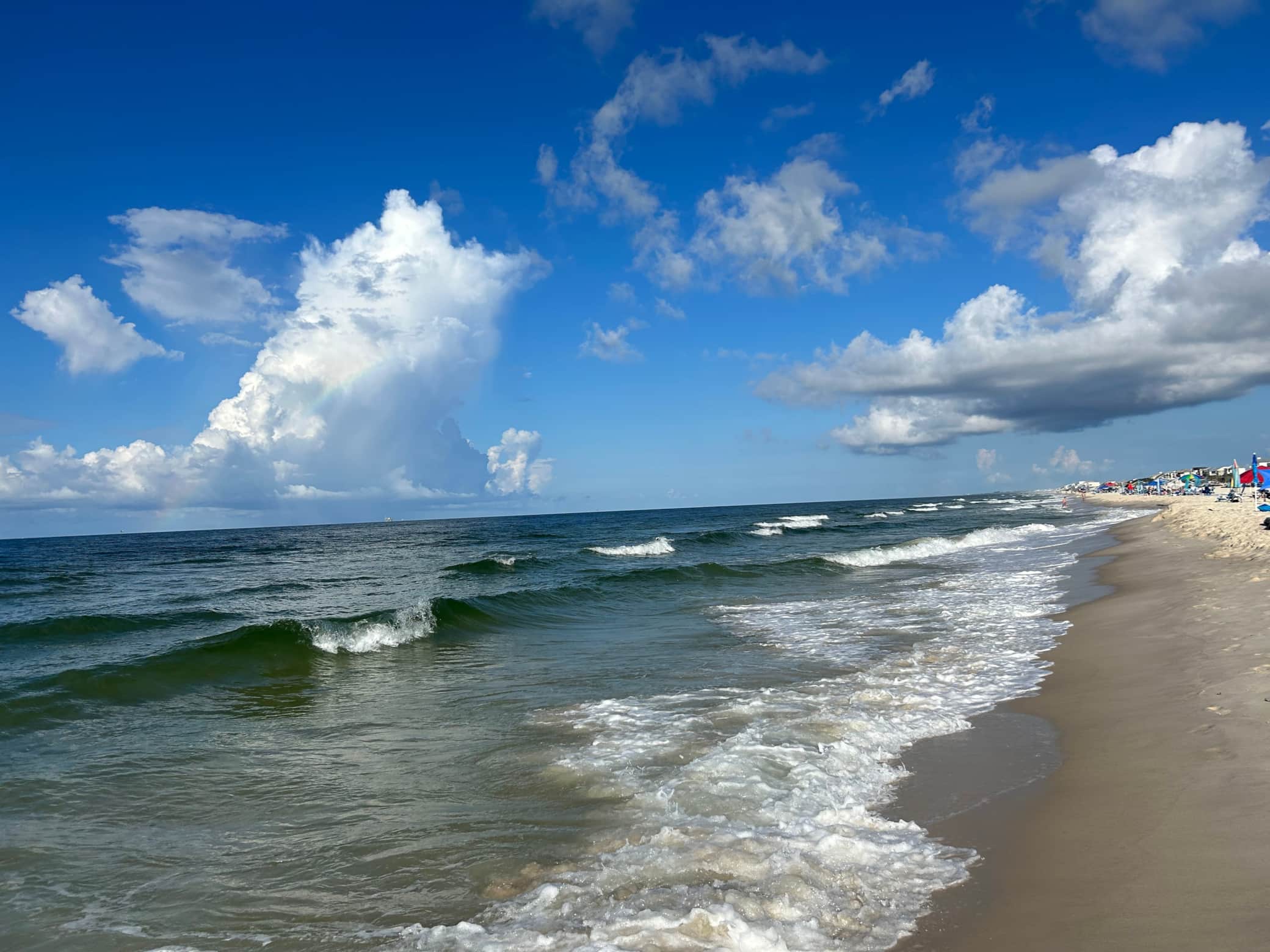 Image Title