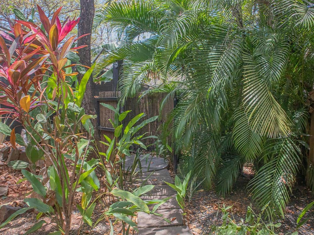 Hotel glamping flor y bambu log cabin baula 6