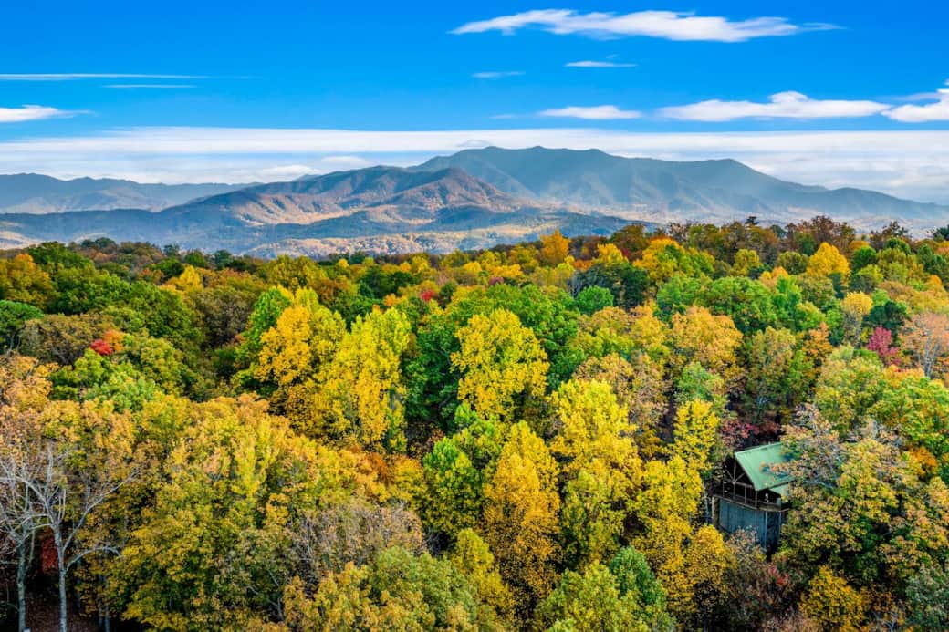 Mt. Leconte 