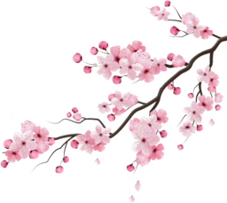 Cherry Blossom Suite