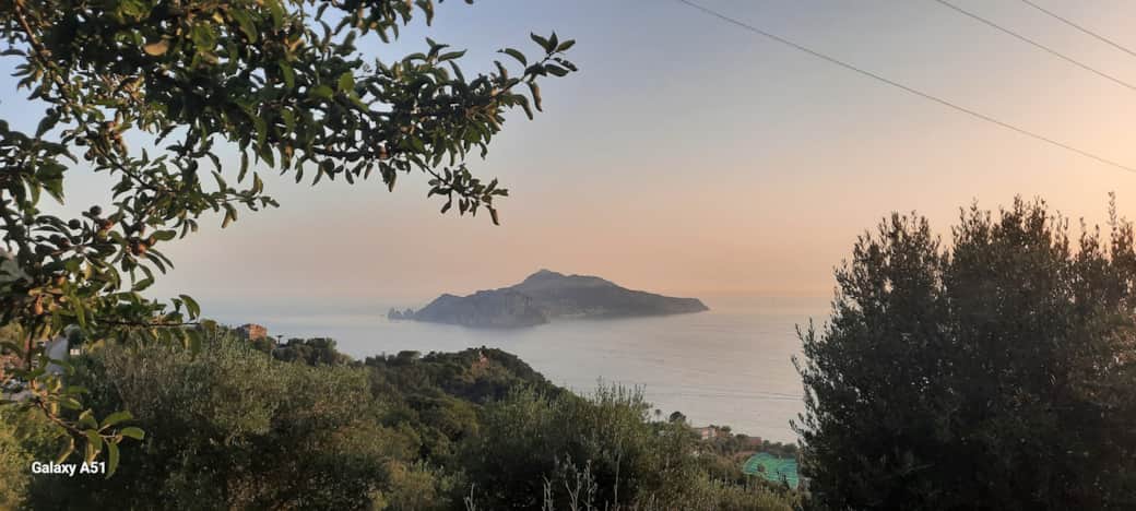 20240706 195950 resized 20240706 195950 resized