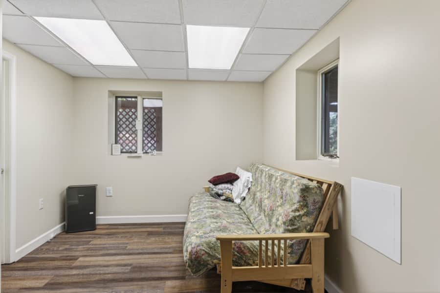 Basement room with futon