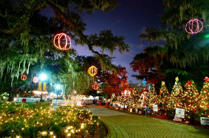 a nighttime view of a pathway surrounded by trees and christmas lights