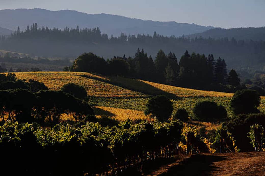 Beautiful Anderson Valley