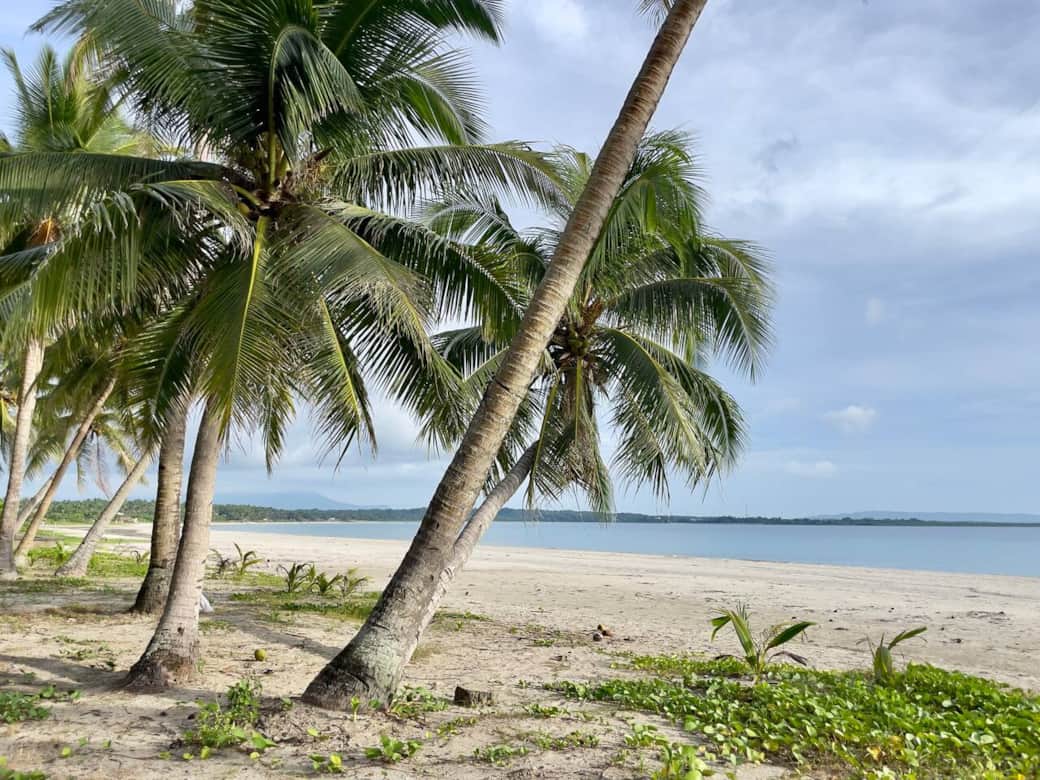 The beach is just 2 minutes away!