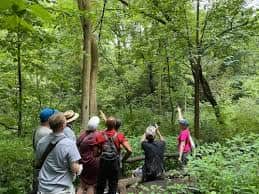 Ramsey Canyon Cabins & Bird Sanctuary offers guided property tours. $40 per person per hour.