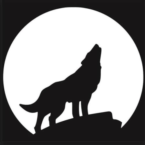 Wolf Cabin Escape