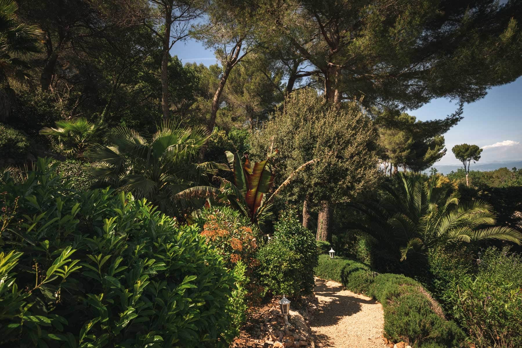 A shaded path through the tropical garden