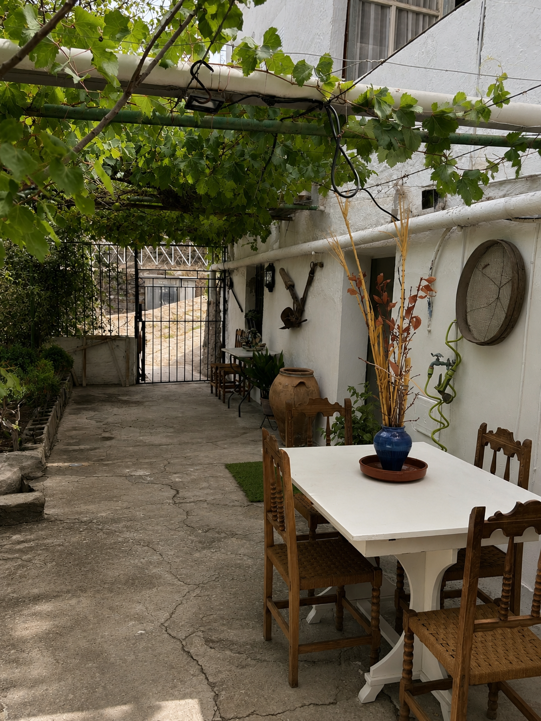 Terraza