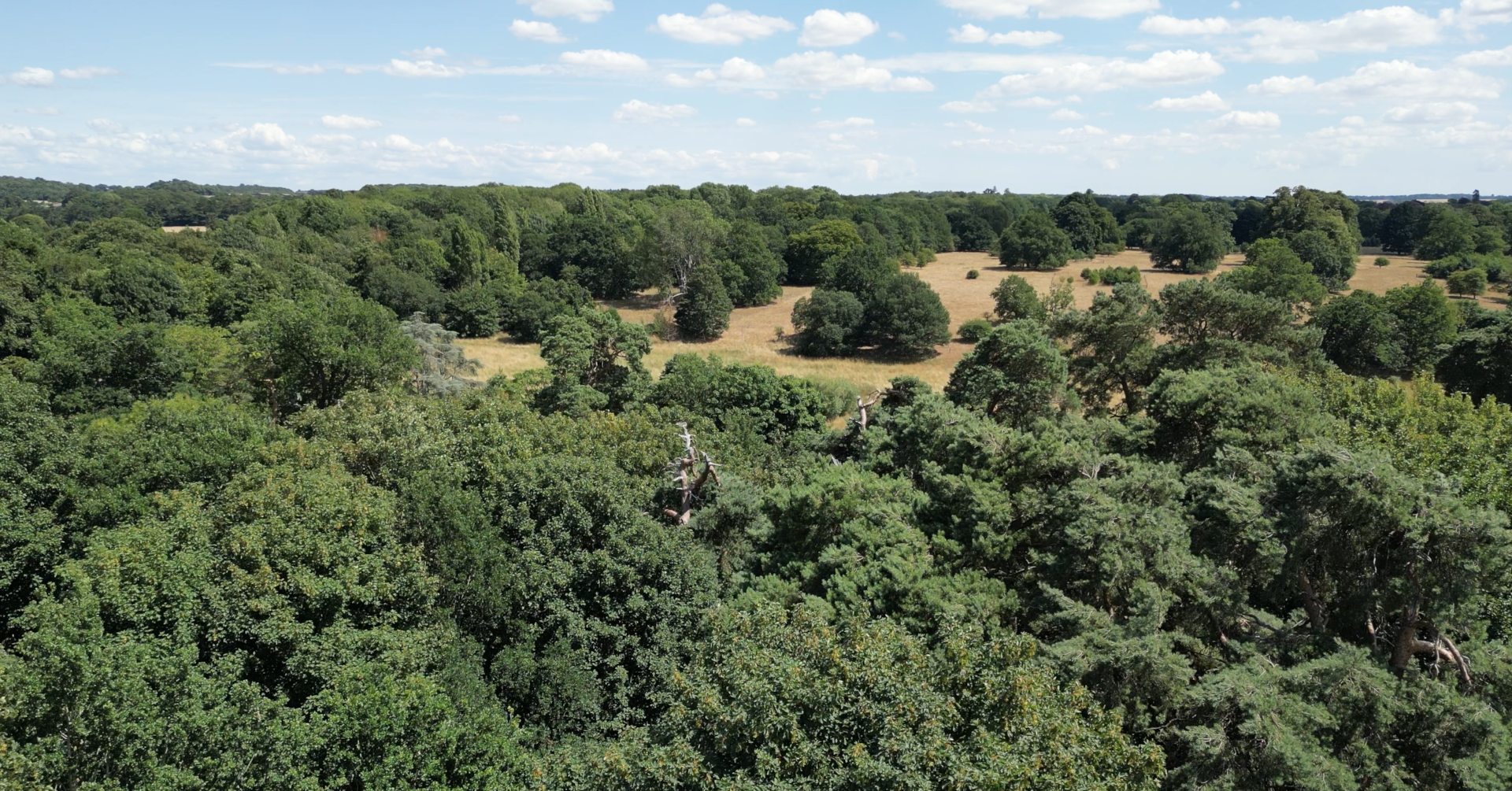 Exploring the Suffolk Countryside