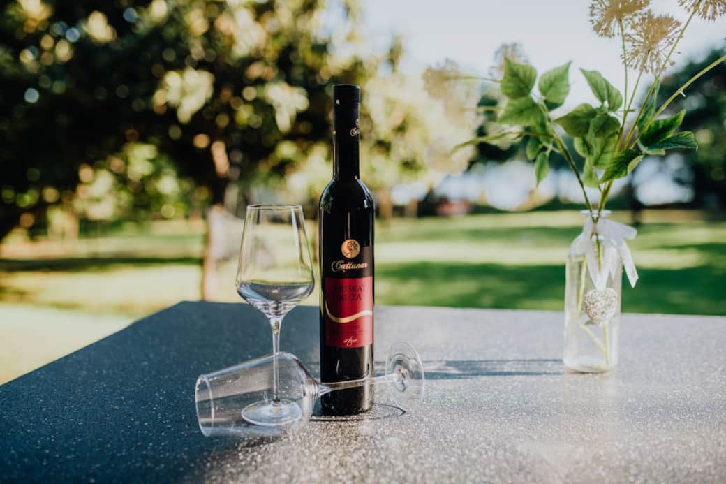 Garden view from terrace