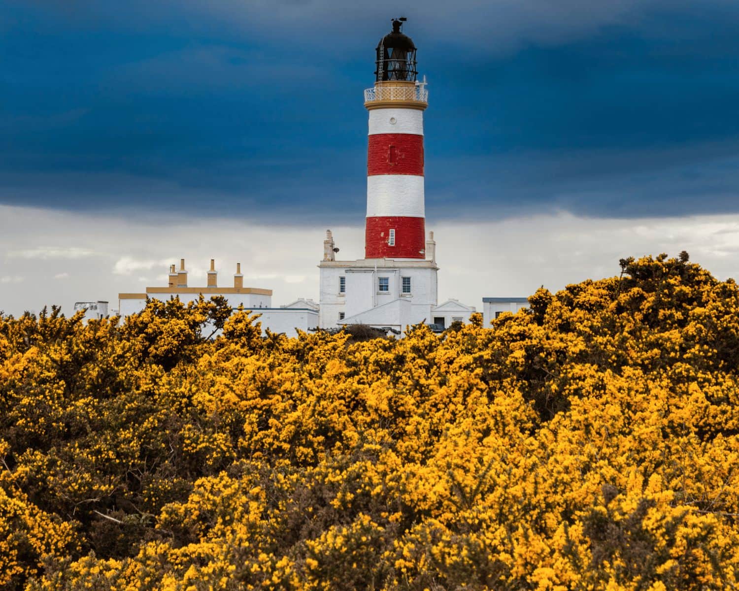 The shingle beach and lighthouse at the Point of Ayre