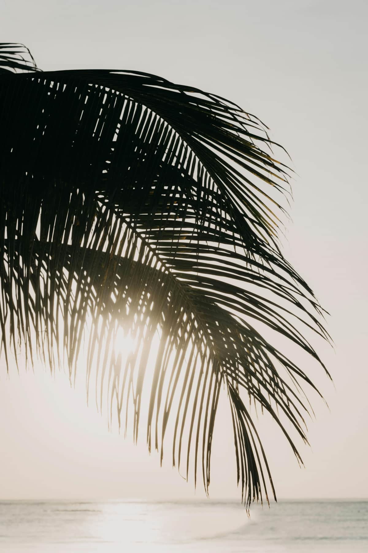 https://l.icdbcdn.com/oh/d03c5f4b-a4eb-462a-acc1-7f5d2db7fbff.jpg?w=2080-1