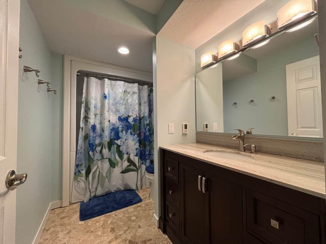 Lower Level Bathroom