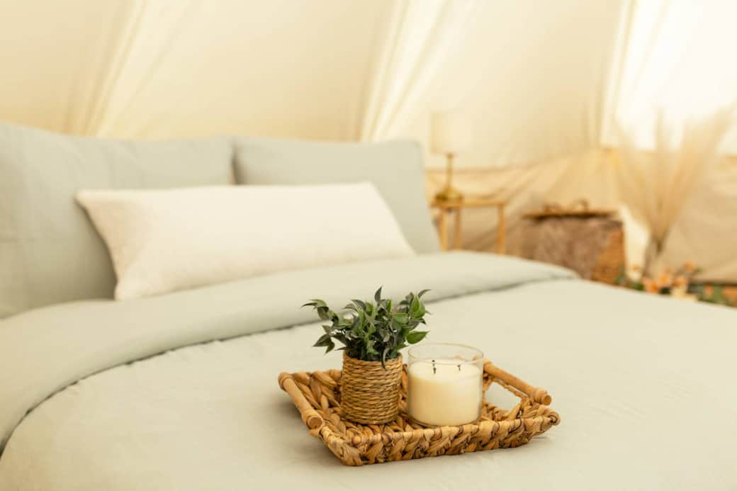1 Queen bed ft. premium Sealy Mattress 1 Queen bed ft. premium Sealy Mattress