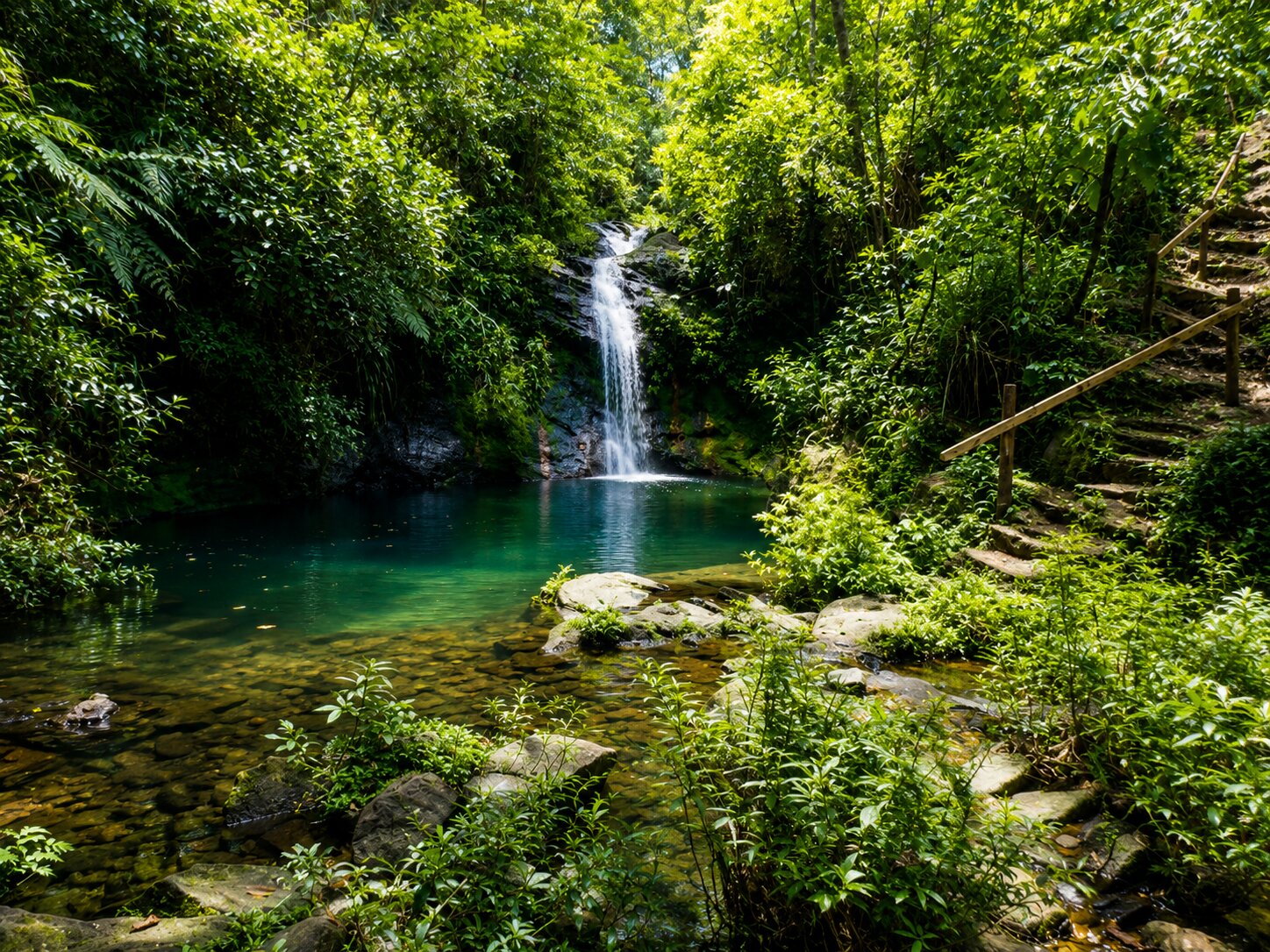 Jungle Waterfall Adventure